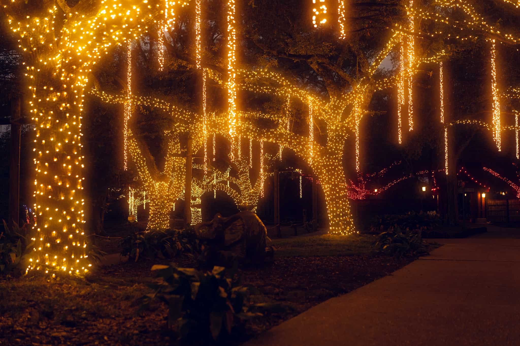 Baton Rouge Zoo's Zoo Lights Returns this Holiday Season